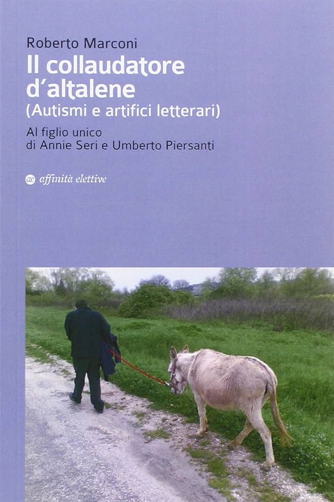 Il collaudatore d'altalene di Roberto Marconi